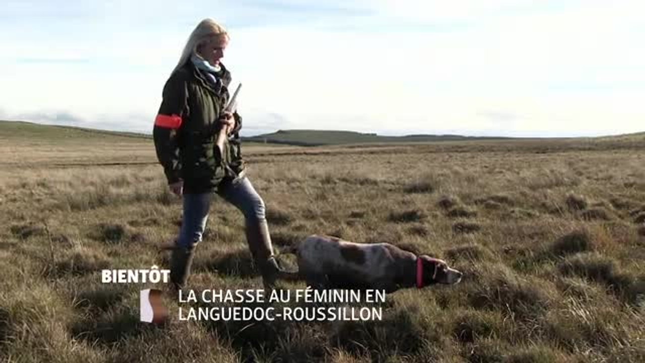 La Chasse au féminin en Languedoc Roussillon - 24/06/16