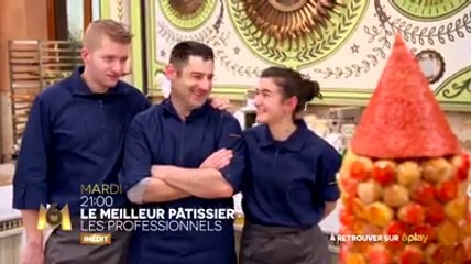 Le meilleur pâtissier  les professionnels - 16 05 17