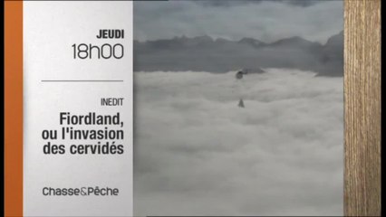 Fiordland, ou l'invasion des cervidés  - 23/06/16