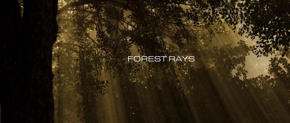 FOREST RAYS - Unreal cinematic - UE 4.27