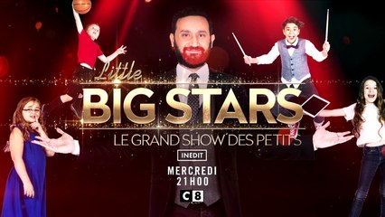 Little big stars, le grand show des petits - c8