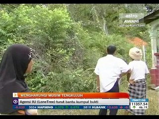 Mengharungi musim tengkujuh