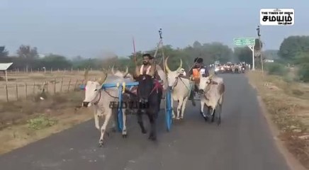 கோயில் திருவிழாவை முன்னிட்டு மாட்டு வண்டி பந்தயம்; சீறிப்பாய்ந்த காளைகள்!