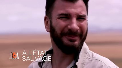 A l'état sauvage - Michael Youn - m6 - 28 06 16