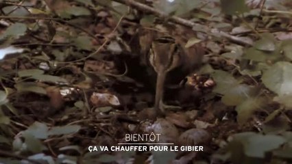 Ça va chauffer pour le gibier - 28/04/17