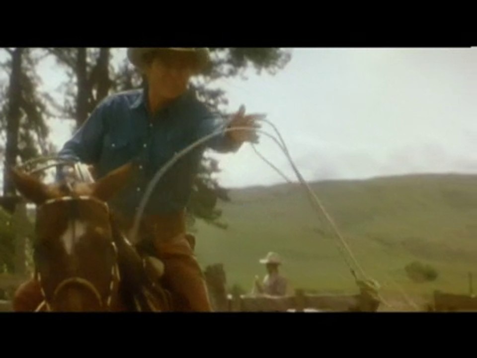 L'homme qui murmurait à l'oreille des chevaux