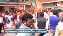 UP Election Results 2022: BJP workers play Holi in Lucknow as party leads on over 260 seats