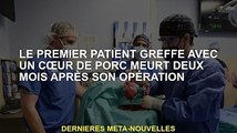 Le premier patient greffé du cœur d'un porc décède deux mois après l'opération