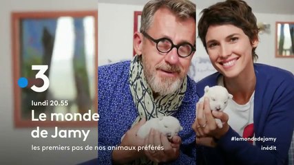 LE MONDE DE JAMY - chiots chatons - france 3 - 14 02 18