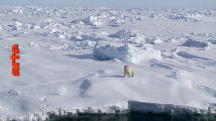 THEMA - ARCTIQUE LA CONQUETE GLACIALE - arte - 09 05 17