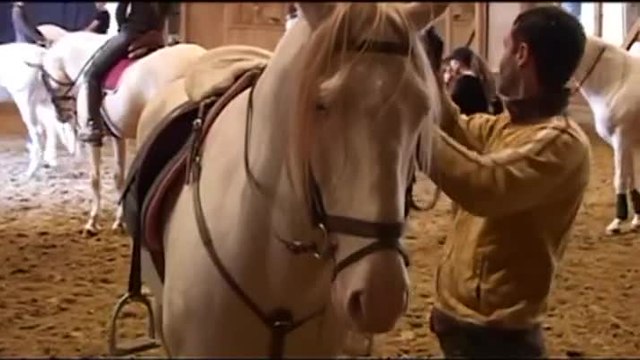 Bartabas, récital équestre pour une académie - VF