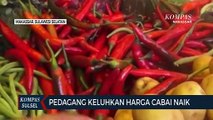 Pedagang Keluhkan Harga Cabai Naik