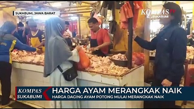 Harga Daging Ayam Potong Mulai Merangkak Naik