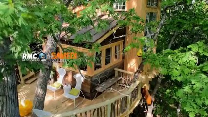 Cabanes perchées - Structure en nid d'oiseau - rmc - 29 04 17