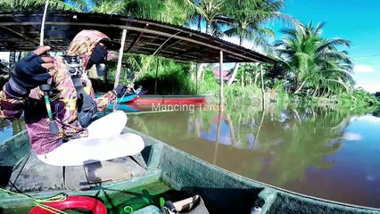 MANCING UDANG GALAH DI ANAK SUNGAI KALIMANTAN BARAT