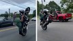 Un motard fait des wheelings en... Harley-Davidson