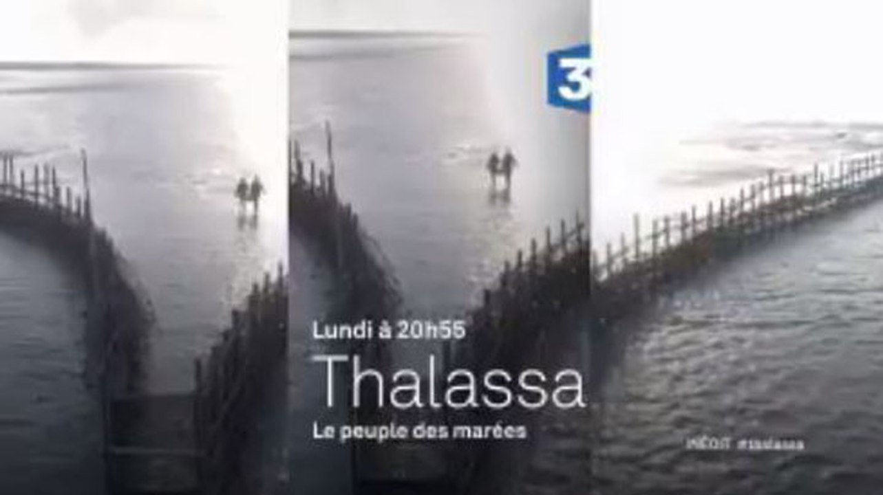 Thalassa - Mont-Saint-Michel - France 3 - 22 01 18