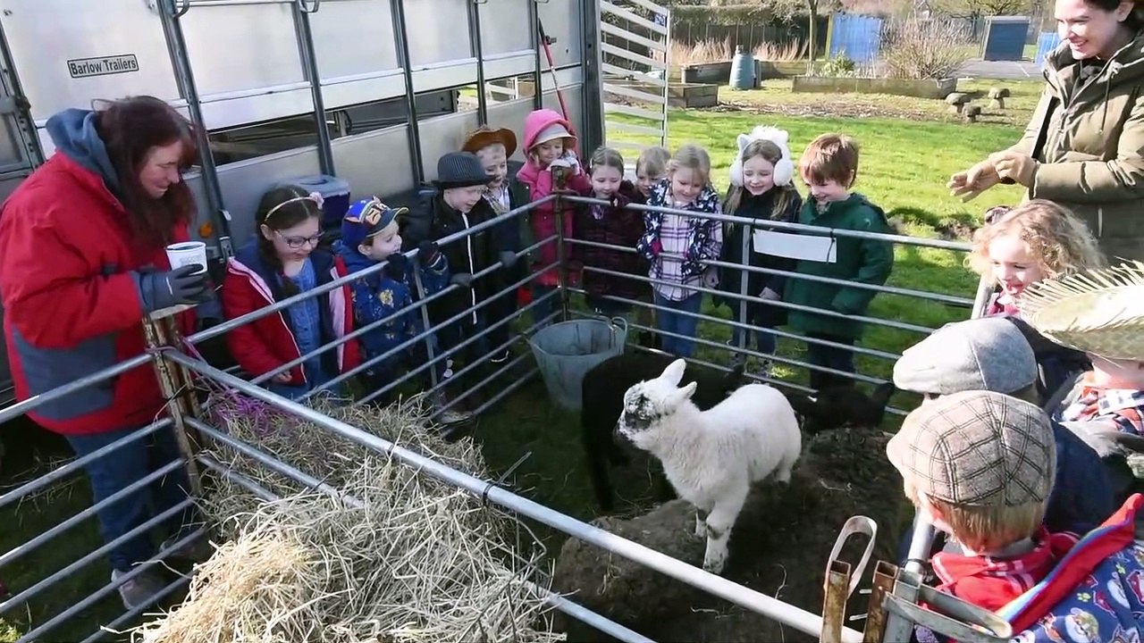 Wood Fold farm visit video Dailymotion