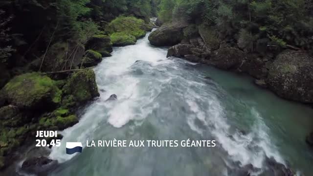 La Rivière aux truites géantes