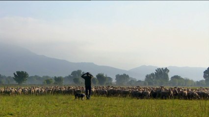 Des Racines et des ailes - Le Pays d'Arles - 26/05/16