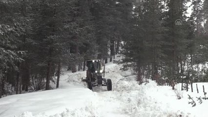 Kunduz Ormanları'ndaki kızıl geyiklere takviye yem ulaştırıldı