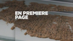 Le papyrus oublié de la grande pyramide - FRANCE 5