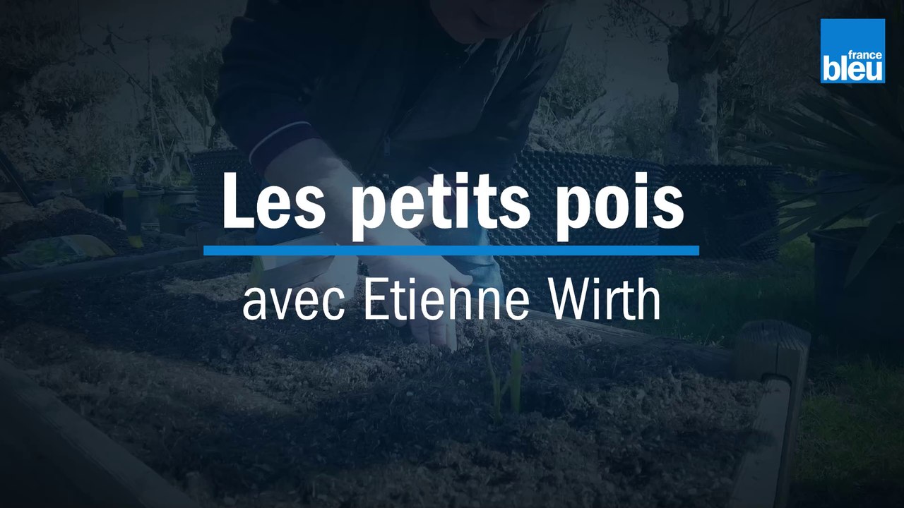 Les petits pois - avec Etienne Wirth