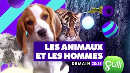 Les animaux et les hommes - une belle histoire d'amitié - gulli - 25 01 18