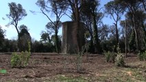Nuovo verde per 15mila mq e 170 alberi per Villa Ada a Roma