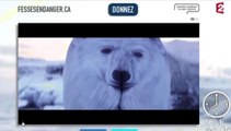 Le zapping du 13/03 : Des fesses grimées en ours polaire… contre le cancer !