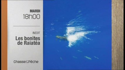 Les Bonites de Raiatea