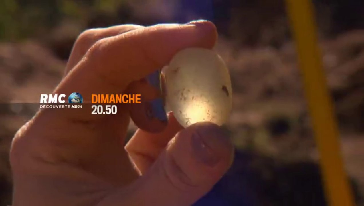 Chasseurs de Pierres Précieuses horizon Denver - 22 05 16