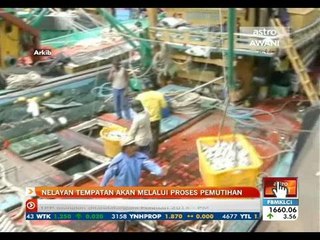 Nelayan tempatan akan melalui proses pemutihan