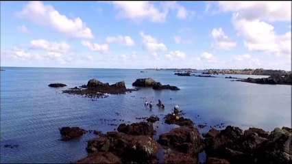Thalassa - Bretagne : Le choix de l'Armor - 14/05/16
