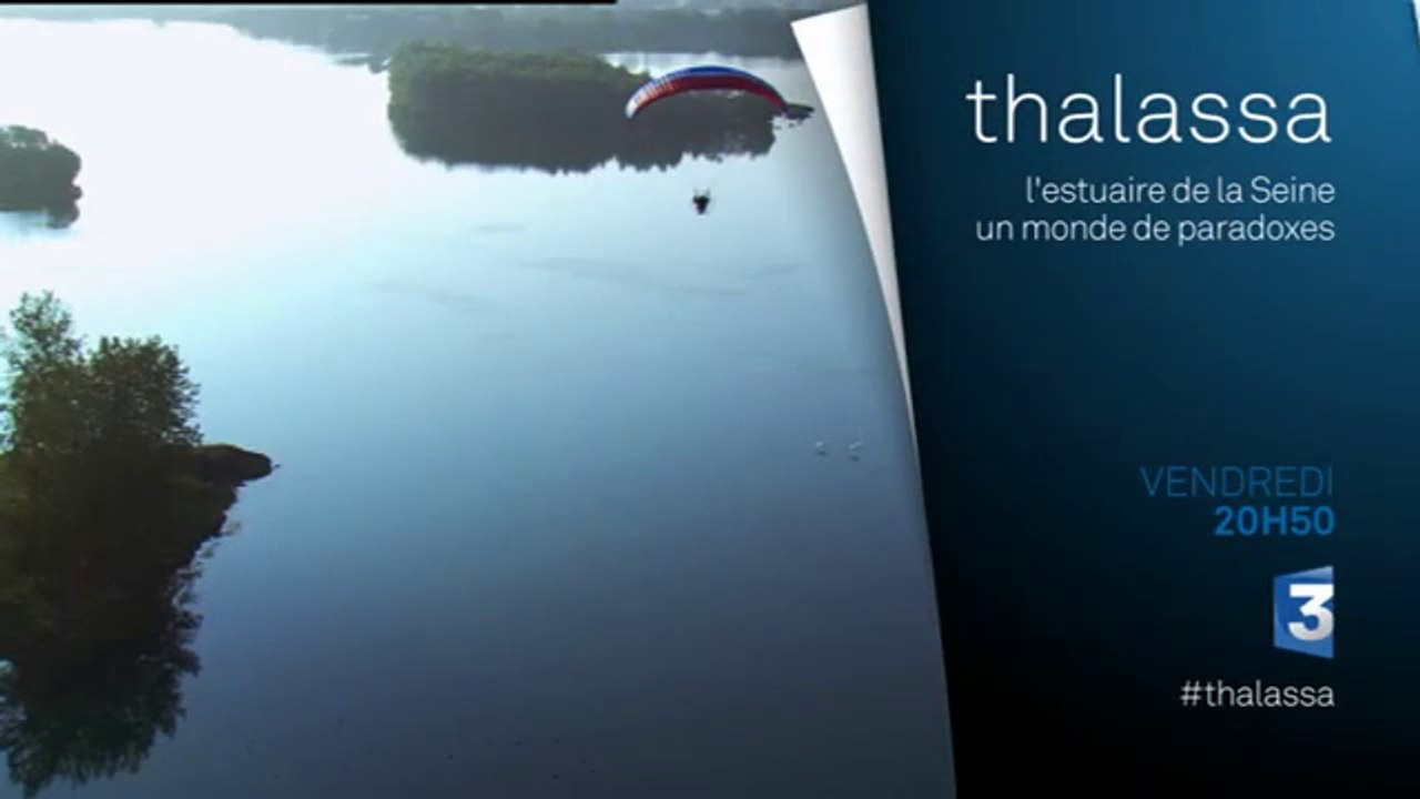 thalassa - ba