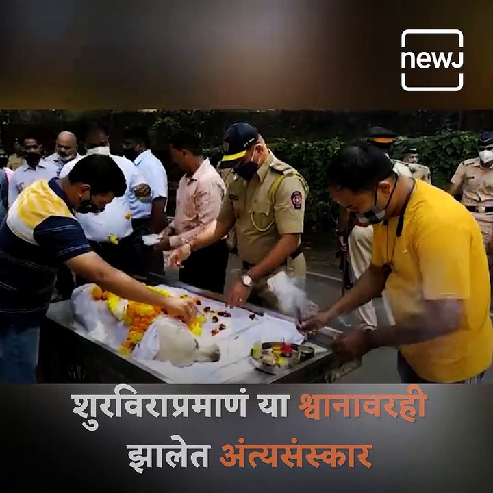 Bomb Squad Dog Given State Funeral In Mumbai