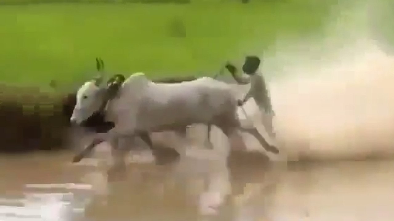 Comment faire du ski nautique quand on n'a pas de bateau ?