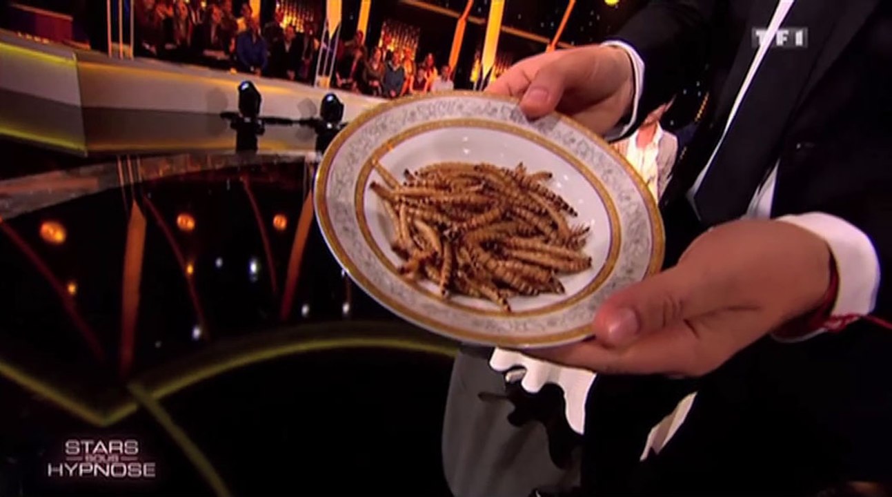 Le zapping du 19/01 : TF1 : les stars sous hypnose mangent des vers !