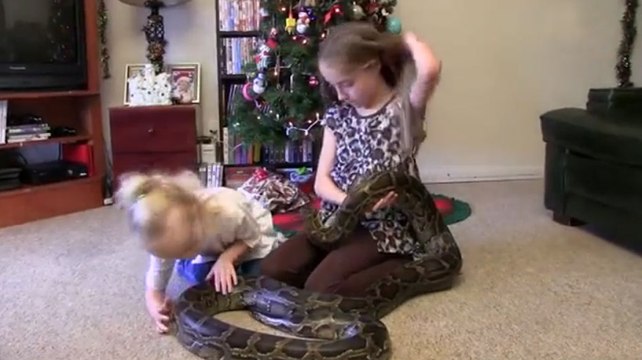 Le zapping du 13/01 : Deux fillettes jouent avec un python de 4 mètres