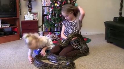 Le zapping du 13/01 : Deux fillettes jouent avec un python de 4 mètres