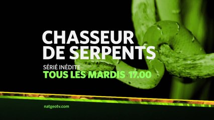 Chasseurs de serpents - Nat Geo Wild