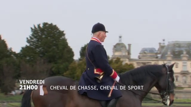 Cheval de chasse, cheval de sport