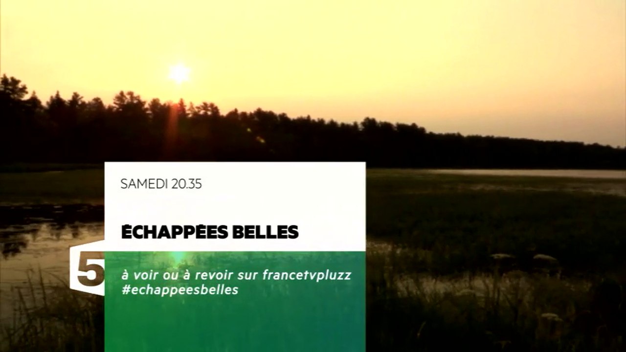 Echappées belles - Sur la route du Mississippi - 31-01