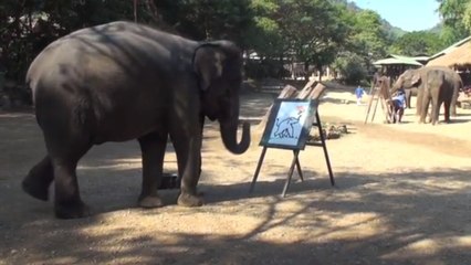 Un éléphant fait de la peinture en Thaïlande !