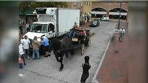 Un cheval de calèche sème la panique dans les rues de Savannah