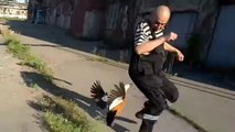 Un homme attaqué par des canards en Russie