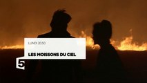 Les Moissons du Ciel - VF