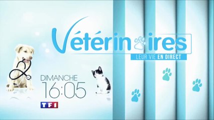 Vétérinaires, leur vie en direct - 09/04/17