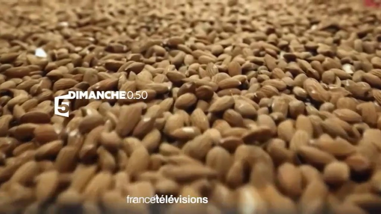 Amande, les secrets d'un super-aliment  -france 5- 09 04 17