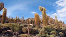 Explorez les magnifiques paysages de la Bolivie